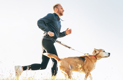 Courir avec son chien, les bonnes pratiques  adopter!