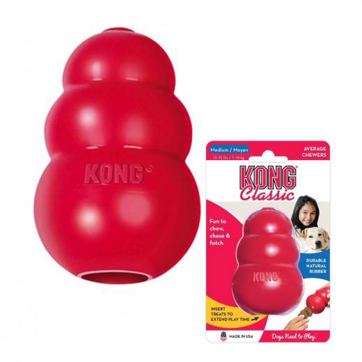 Kong Puppy. KONG, jouet pour chiot et chien - Morin : accessoires