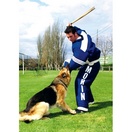 Costume entranement - MORIN Sport Canin - image 2
