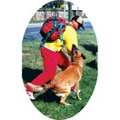 Costume dconditionnement avec Kevlar - MORIN Sport Canin - image 2