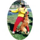 Costume dconditionnement Kevlar & Cordura - MORIN Sport Canin - image 7