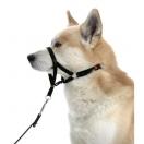 Collier dducation Dog Control type Halti
