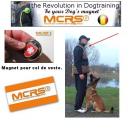 Magnet aimant petit modle (pour col de veste) - MCRS