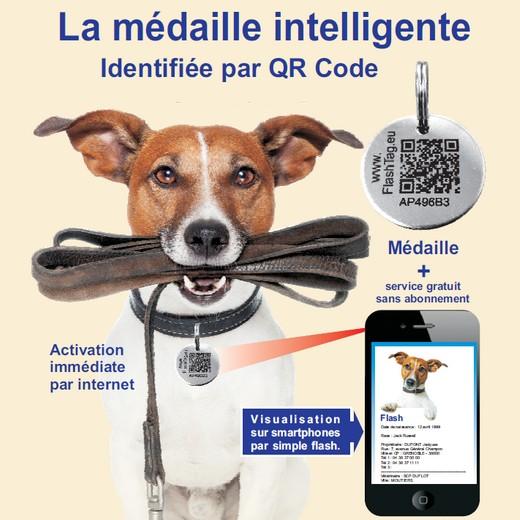 Medaille Chat Ou Chien Intelligente Identifiee Par Qr Code Morin France