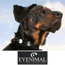 Camra embarque Dog Videocam - Eyenimal - image 3