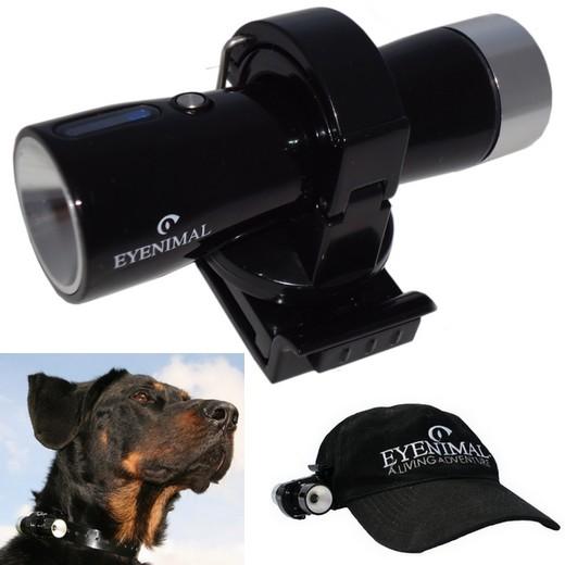 Caméra embarquée pour chien : Dog Videocam - Eyenimal. Clôture anti fugue,  clôture électronique pour chien, Enclos pour chien, parc pour chiens,  enclos chenil : Morin