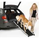 Rampe pour chien Friends On Tour : Accessoires de voiture pour chien -  Wanimo