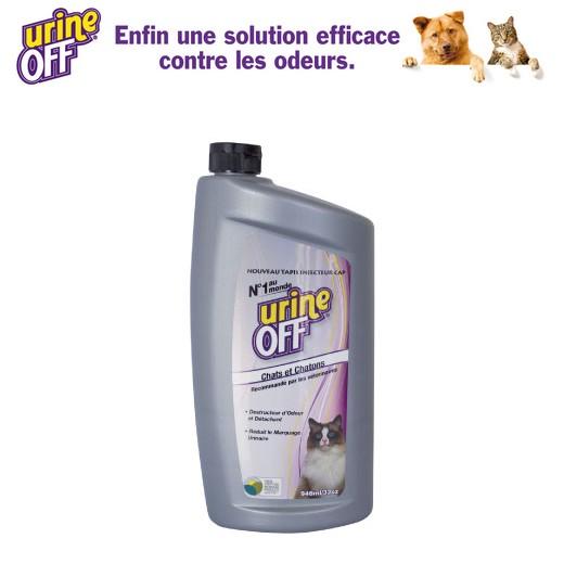 Odeur d'urine de chat : les solutions efficaces pour l'enlever