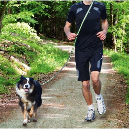 laisse ceinture pour jogging et running - Sellerie : laisses, colliers,  muselières, accouples, longes, harnais pour chien et chiot
