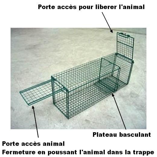 Trappe de capture pour chat. MORIN France : cages et Matériel de