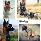 Lunette / masque de protection des yeux pour chien - SMALL (chien de 4.5  13 kg) - Rex Specs - image 5