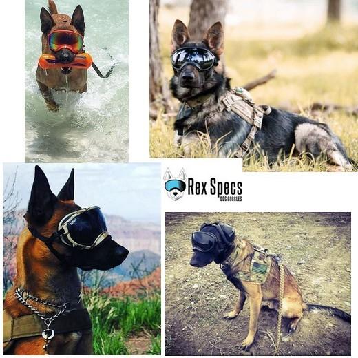 Rex Specs Lunette masques pour chien de petite taille Dog-Goggles