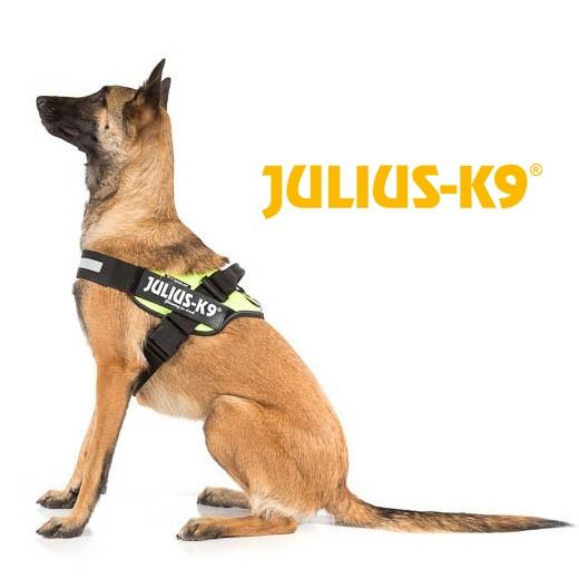 Julius K9 Harnais NEON ICD POWER pour chien - Accessoires pour chiens :  Morin France