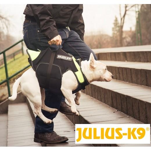 gilet de sauvetage pour chien julius k9