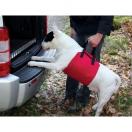 Harnais de soutien antrieur pour chiens handicaps ou  mobilit rduite - image 2