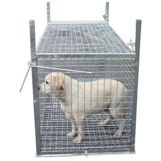 Trappe piège capture pour chien errant - Morin : fabricant distributeur  d'accessoires pour chien et sécurité.