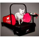 Mini DogPacer - Tapis roulant, Home Trainer pour chiens