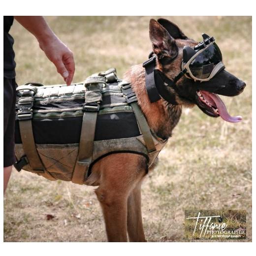 Harnais d'intervention pour chien - Sécurité et forces spéciales. Morin  France : accessoires et équipement pour chiens