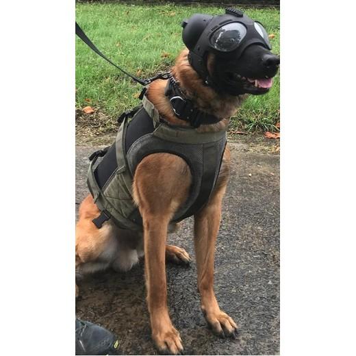 Casque anti bruit pour chien - Morin :! accessoires et protection des chiens