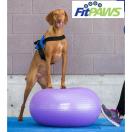 FitPaws Trax Donut - image 3