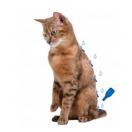 Pipette anti parasitaire DimethiCare pour chats - image 2