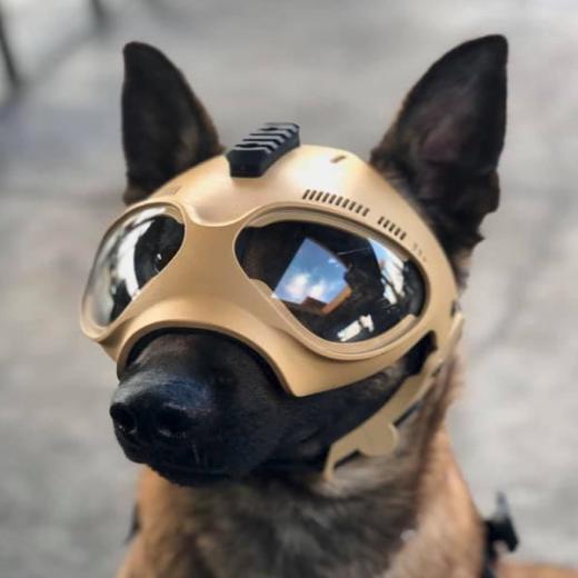 Casque anti bruit pour chien - Morin :! accessoires et protection des chiens