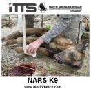 Mannequin dentrainement NARS K9 - ITTS