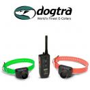 Beeper + Tlcommande 800 m pour chien Dogtra - RB1000 - image 2