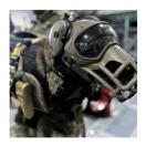 Muselire - Basket Muzzle (sans casque)- Dark System - image 2