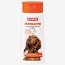 Shampoing pour chien  pelage abricot ou roux